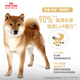 Royal Dog Food Shiba Inu Dog Food Food Pet Medium SIA26 Precio completo Alimento para perros de octubre-8 años 6.5 kg