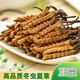 Новая сушящая подарочная подарочная коробка Cordyceps от Kangsil Authentic Dired Cordycess, чтобы подарить подарки для питания и питания качества отбора Cordyceps для старейшин Tibet Nagqu Cordyceps около 3 корней/грамм 40 корней (подарочная коробка)