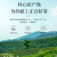 一杯香乌龙茶武夷山正岩大红袍兰花香一级250g礼盒装茶叶自己喝散装送礼