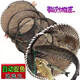 Shushe soft-shell turtle cage, turtle cage, black fish, crucian carp fishing net, floor cage, folding fishing flower basket, fish cage, shrimp cage fishing net, thick steel wire 25*45
