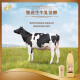 Yili Brown Brown au charbon de bois 1050G / Flavour de bouteille Fermented Milk Sour Charcoal-Charcoal Baked Fragrance * 1 bouteille Source directe