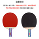 Double Happiness (DHS) table tennis racket set I type entertainment professional racket set two rackets and one ball (horizontal + vertical shot) I