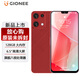 金立（Gionee）全新八核128GB超薄智能手机 大屏老年人手机学生电竞游戏双卡双待安卓百元长续航 红色	