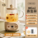 Small pumpkin health pot multifunctional fully automatic tea maker mini household kettle electric kettle thermostatic kettle teapot home appliance teapot water boiler decocting medicine kettle kettle glass kettle top version with filter + coaster + spoon 0.5L