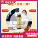 Jinqi Sanqi Original Zellstoff oraler Flüssigkeit pharmazeutischer Frisch -Panax Notoginseng Yunnan Wenshan Authentischer frischer Extrakt, der bei der Senkung des Blutdrucks orale Flüssigkeit 30 Flaschen/Box Ganze Pflanze Frisch -Panax Notoginseng Original Flüssigkeit senkte