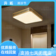 Heart mirror full copper ceiling light villa door light outdoor waterproof balcony light courtyard corridor corridor ultra-thin mosquito ceiling light X3891-600*800/rectangular