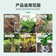 Guoguang Root Promoting Rapid Rooting Liquid Powder Seedlings Flower Cuttings Transplanting Indotenyl Acetic Acid Guoguang Genpan 200ml*20 Bottles