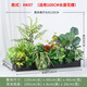 Yonghuan simulated green plant flower tank landscaping partition combination flower box fake plant interior window drop landscaping decoration A5012 yellow edge banana leaves + 3 fork lily bamboo white edge