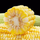Fresh sweet corn Freshly picked fresh fruit corn Fresh sweet corn on the cob Fresh vegetables can be eaten raw for breakfast Fresh fruit corn 5Jin Jin equals 0.5kg Net weight starting from 300g