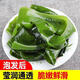 盐渍裙带菜非干货海带嫩苗儿童海菜海白菜海藻菜凉拌新鲜包邮 裙带菜嫩叶100g