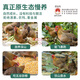 Tiannong purebred Qingyuan chicken whole chicken 2Jin Jin is equal to 0.5kg mountain range Qingyuan native chicken free-range chicken frozen Hong Kong quality