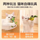 Xincong Cat Toy Funny Stick Simulation Bird Toy Kitten Self-Happiness and Boredom Relief Artifact Resistant to Scratching and Bite Pet Supplies Green Willow Warbler 1 Pack Free Suspension Rope