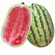 Khaki Selenium Sand Large Melon Seeds Oval Flower Skin Seed Lazy Man Watermelon Seeds Fusarium Wilt Resistance Resistant to Repeated Cropping Selenium Sand Large Melon 70g Canned
