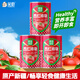 XIAOCHU 25 years old/Xinjiang tomato cubes 400g*1 can (ingredients fresh tomato cubes) 0 additive canned tomatoes