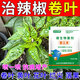 Zhonggu Nongkang (ZGNK) pepper special fungicide, agricultural disinfection and sterilization virus, anthrax disease, rolled leaf dead seedlings, rotten roots and rot fungicides, pepper pathogen cleaner 8 bags, the first choice for large growers