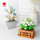 
Shantoulin Village plant building blocks and flowers cute small ornaments DIY assembly toy wholesale XJ-10975(F) Ji Shanhu