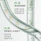
FicceCode Tea Tree Shampoo 300ml Oil Control and Oil Removal Shampoo Long-lasting Soft Shampoo Imported in Australia