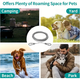 Extended stainless steel dog traction rope dog leash small, medium and large dog pet steel wire rope thick chain dog rope anti-bite silver gray + double-ended carabiner rope thickness 3 mm total rope length 2 meters