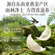 Jiuzhitang nido de pájaro seco y caja de regalo de la Copa de Bird 100g Indonesia importó tónicos nutricionales rastreables para mujeres embarazadas regalos del festival de mante en el mante
