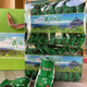 Send Yi Fujian Specialty Authentic Wuping Green Tea Taoxi 2022 Mingqian Alpine Liangye Stir-fried Green Spring Tea Day About 20 brews 1 box 250g