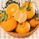 Sakura Fresh Sichuan Shiranui Ugly Tangerine, next-day delivery to multiple places, non-Ehime jelly orange, tangerine, pregnant woman fruit, Mid-Autumn Festival gift box S+ supermarket quality, more comprehensive gift giving 9Jin Jin equals 0.5kg Gift box (80-85mm) net weight 8.5Jin Jin equals 0.5kg
