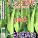 Sweet and crispy snow pea seeds, peas with double flowers and double clamps, cold-resistant farmers' own autumn and winter beans seeds that can survive the winter, snow pea seeds, double flowers and double pods, potted plants, 1 selected