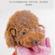 Pet dog cat bathing gloves extended bathing artifact comb cat teddy bear brush supplies pink 1 pair 1 piece