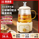 Mini fully automatic health pot tea kettle for stewing, all-in-one tea kettle, kettle, office small all-glass flower teapot, thermostatic kettle for one person, 2025 new kettle, mechanical model + constant temperature 55 0.65L + glass tea leakage