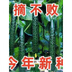Strong female Jinyan No. 4 cucumber seeds have green flesh, green heart, dense tattoos, yellow seeds, farm cucumber seeds, new seeds this year, 2 packs, about 100 seeds