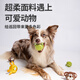 GiGwi dog toy, chewing and molar-resistant toy to relieve boredom, puppy dog pet, chewing and molar-resistant toy, animal sounding tennis ball