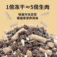 ELLIE FRIENDS Teddy Dog Food for Puppies and Adult Dogs Special for Small Dogs Grain-Free Freeze-Dried Full Price Dog Food Trial 3Jin Jin is equal to 0.5kg Small package Light belly load Trial single food 3Jin Jin is equal to 0.5kg