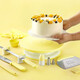 Pu Lian Nordic Color Cake Turntable Anti-slip Decoration Table Rotary Table Novice Cake Set Household Full Set Birthday Cake Decoration Turntable - Nordic Yellow Set 2 Color Box