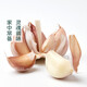 Approximately 200g of garlic harvested directly from the production area