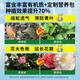 Special soil for growing camellias, special soil for camellias, nutrient soil for potted plants, special soil for planting soil, fertilizers, special fertilizers for camellias, special soil for camellias 20 liters