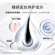 Shiseido Salon de coiffure professionnelle Shipli anti-unithi contrôle huile mâle et femme de vie de la vie de la vie de la vie 250 ml Huile sans silicone