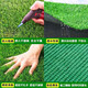 Simulated lawn carpet artificial plastic green balcony outdoor floor mat kindergarten artificial bedding decorative fake turf 3 meters wide 7 meters long 2 cm encrypted spring grass