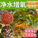 Natural volcanic stone stream stone fish tank decoration package natural native aquascape bottom sand special stone medium grain 2Jin Jin is equal to 0.5kg volcanic stone + 2Jin Jin is equal to 0.5kg stream stone king fried combination ancient method of fish farming to stabilize water quality without changing water
