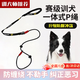 Huanqing p rope explosion-proof dog leash training border shepherd golden retriever corgi p chain small medium and large dog walking leash dog training integrated p rope black (length 1.4m)