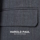 HAROLD PAUL dark gray striped no-iron anti-wrinkle suit men's business casual dark gray XL recommended 65-75kg (refer to the size chart)