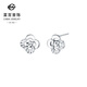 Caibai Jewelry Platinum Earrings Pt950 Platinum Fashion Hollow Four-leaf Clover Flower Shape Versatile Earrings Price BJ Platinum Earrings About 2.56g