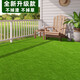 Artificial simulated turf carpet kindergarten outdoor green plastic turf football field paving artificial fake turf mat 2 cm thickened spring grass 0.5 m * 0.5 m long