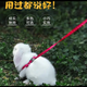 Dog Leash Harness Dog Leash Small Dog Cat Teddy Bichon Rope Rabbit Rope Large Durable Professional Pet Leash - Mixed Color Small - 1 Pack -