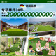 Qingya simulated lawn carpet, fake turf bedding, plastic outdoor artificial court, artificial fence, kindergarten green floor mat, 2 cm, newly upgraded 11-pin encryption, high-quality B-grade model (4 meters wide, 1 meter long) 4 square meters (up to 25m, how long do you need to take a few pieces)