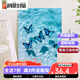 咔佐蝴蝶数字油画2025新款画画消磨时间神器diy手工油彩画填色丙烯画 SJ14699 50*65cm相框(颜色可选)+画笔颜料