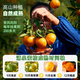 Shengrong Fruits and Vegetables Linhai Yongquan Mandarin Oranges SF/EMS-Next Day Delivery to Many Places Huangyan Mandarin Oranges Seasonal Fresh Fruits Tribute Grade Single Fruit 70-80mm Best Choice for Gifts 10Jin Jin Equivalent to 0.5kg Gift Box Premium Yongquan Mandarin Oranges Net 9Jin Jin Equivalent to 0.5kg
