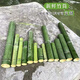 Bamboo tube, fresh bamboo tube, natural bamboo pole, small bamboo wedding table decoration, green bamboo floral decoration, short size, outer diameter 1-2cm, height 20cm (5 pieces in total)
