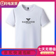 Falamone Armani Nouveau printemps et été en coton pour hommes pur t-shirt à manches courtes 2024 Summer couche à cou rond de base de base décontractée 2 1518 blanc unique M 165 Recommandé 95-115jin [Jin est égal à 0,5 kg]