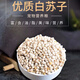New white perilla large grain perilla seed bird food canary hibiscus bird oriole pearl white swallow jade bird food parrot bird food 250g white perilla seed