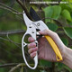 Mihong fruit tree pruning scissors segmented labor-saving garden pruning branch garden pruning thick branch scissors store manager