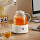 LOTOR Laiduo health pot glass office fully automatic health pot 1.7 liter constant temperature kettle kettle multi-function tea maker flower teapot D17Y filter barrel